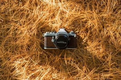 棕色草地上的黑白单反相机
